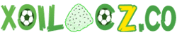 lịch dưới hôm nay